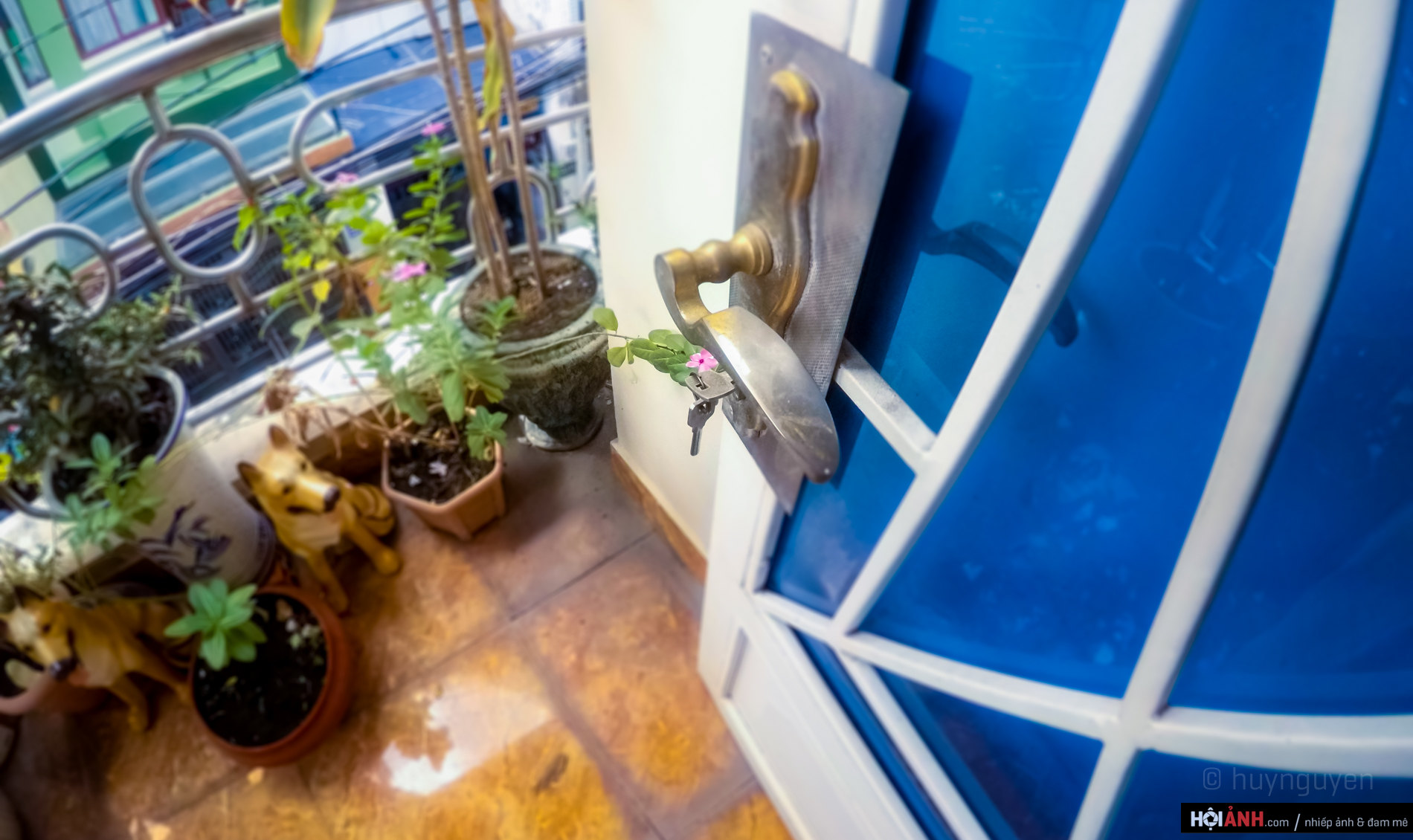 DCIM100GOPROGOPR0483.JPG