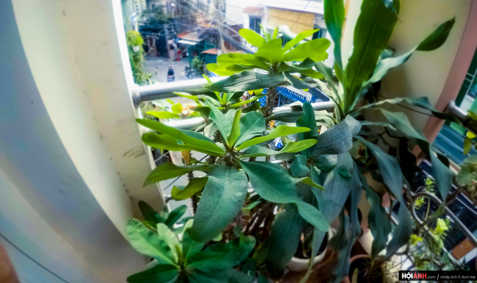DCIM100GOPROGOPR0484.JPG