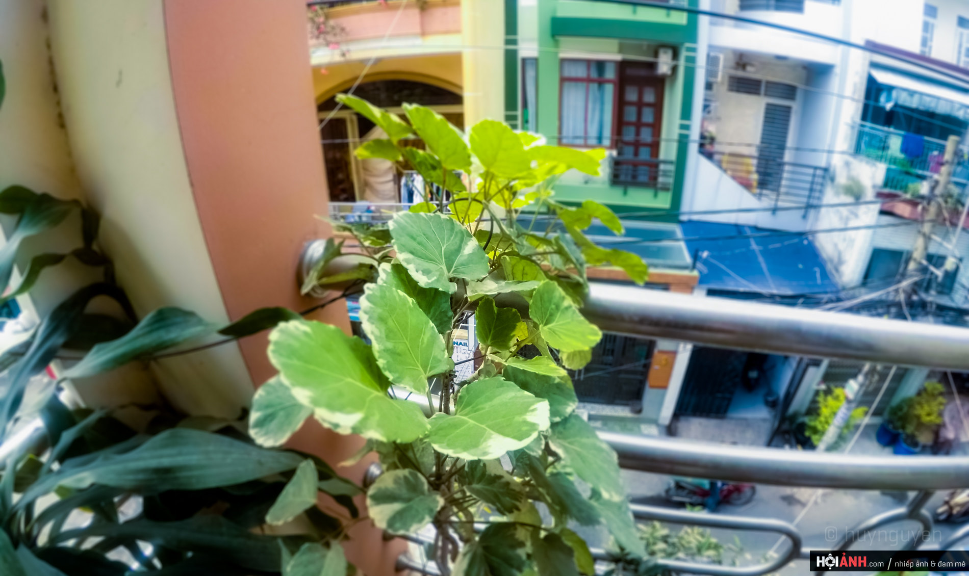 DCIM100GOPROGOPR0485.JPG