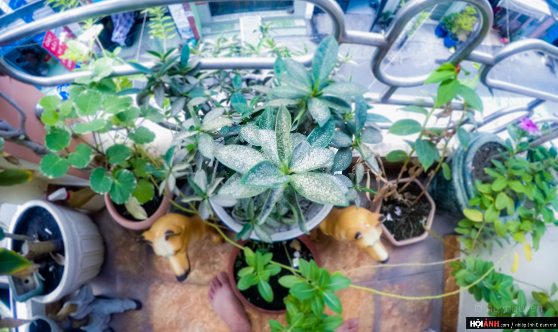 DCIM100GOPROGOPR0489.JPG