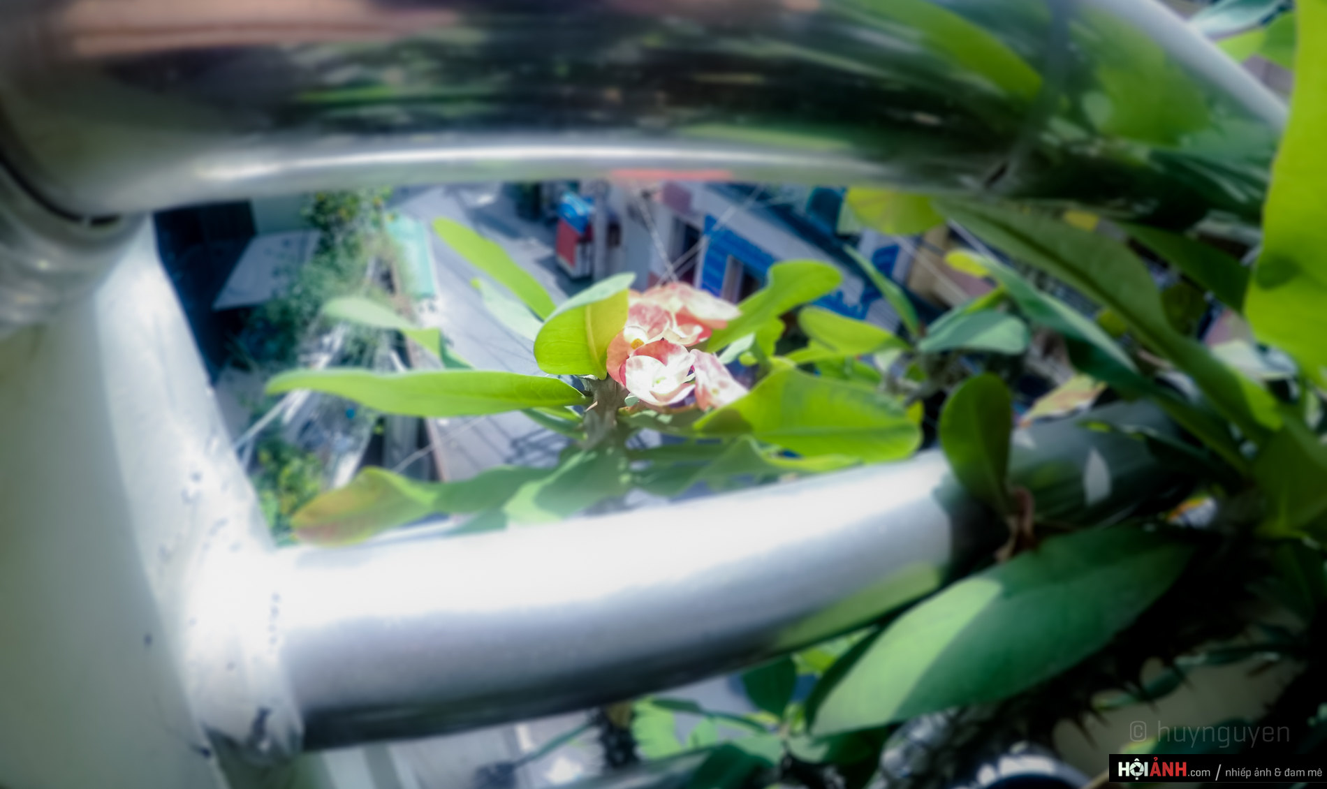 DCIM100GOPROGOPR0499.JPG
