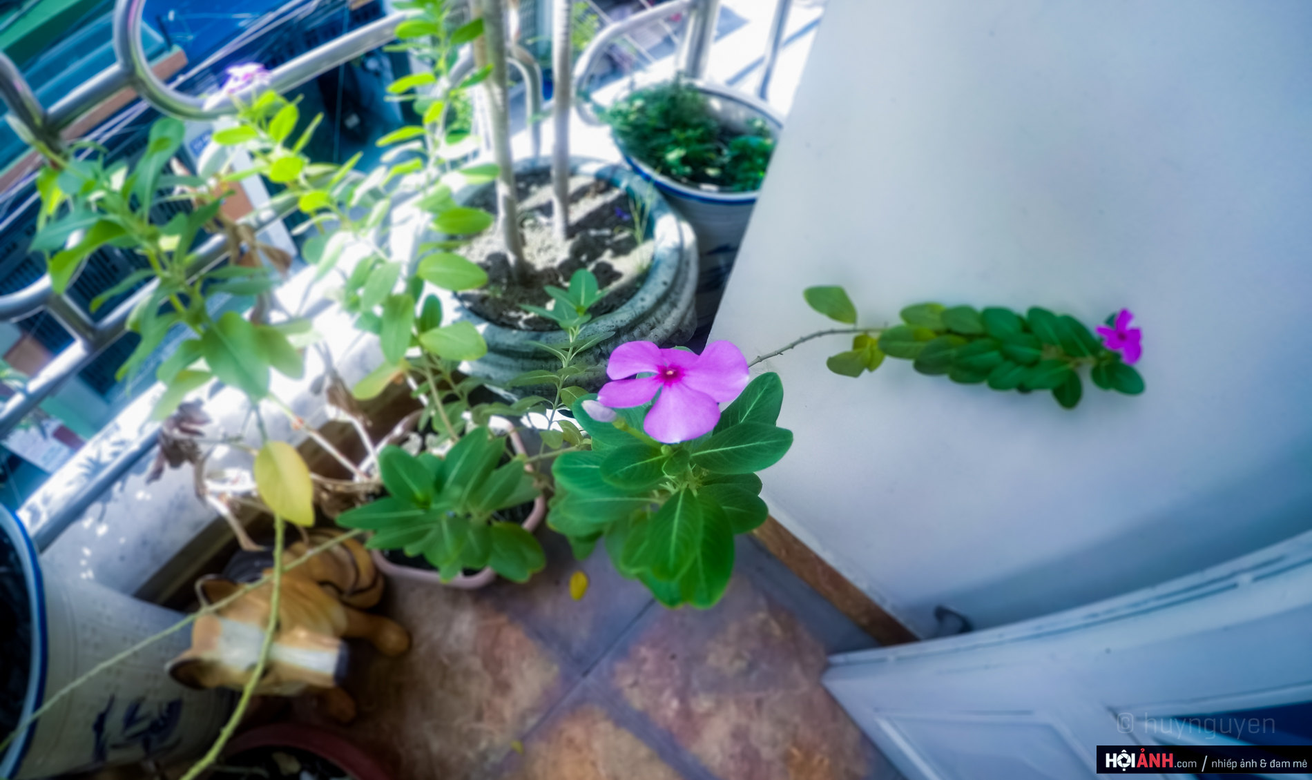 DCIM100GOPROGOPR0504.JPG